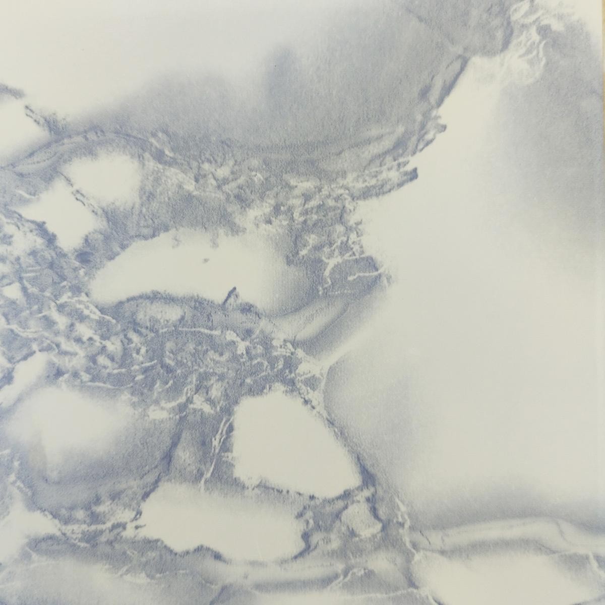 Пленка с/кл Y19 D&B (0,45*8м)