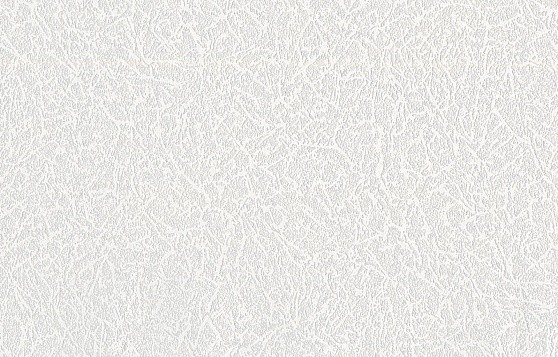 Обои Белвинил СБ 53 Вьюга 11 /25м/  (4)