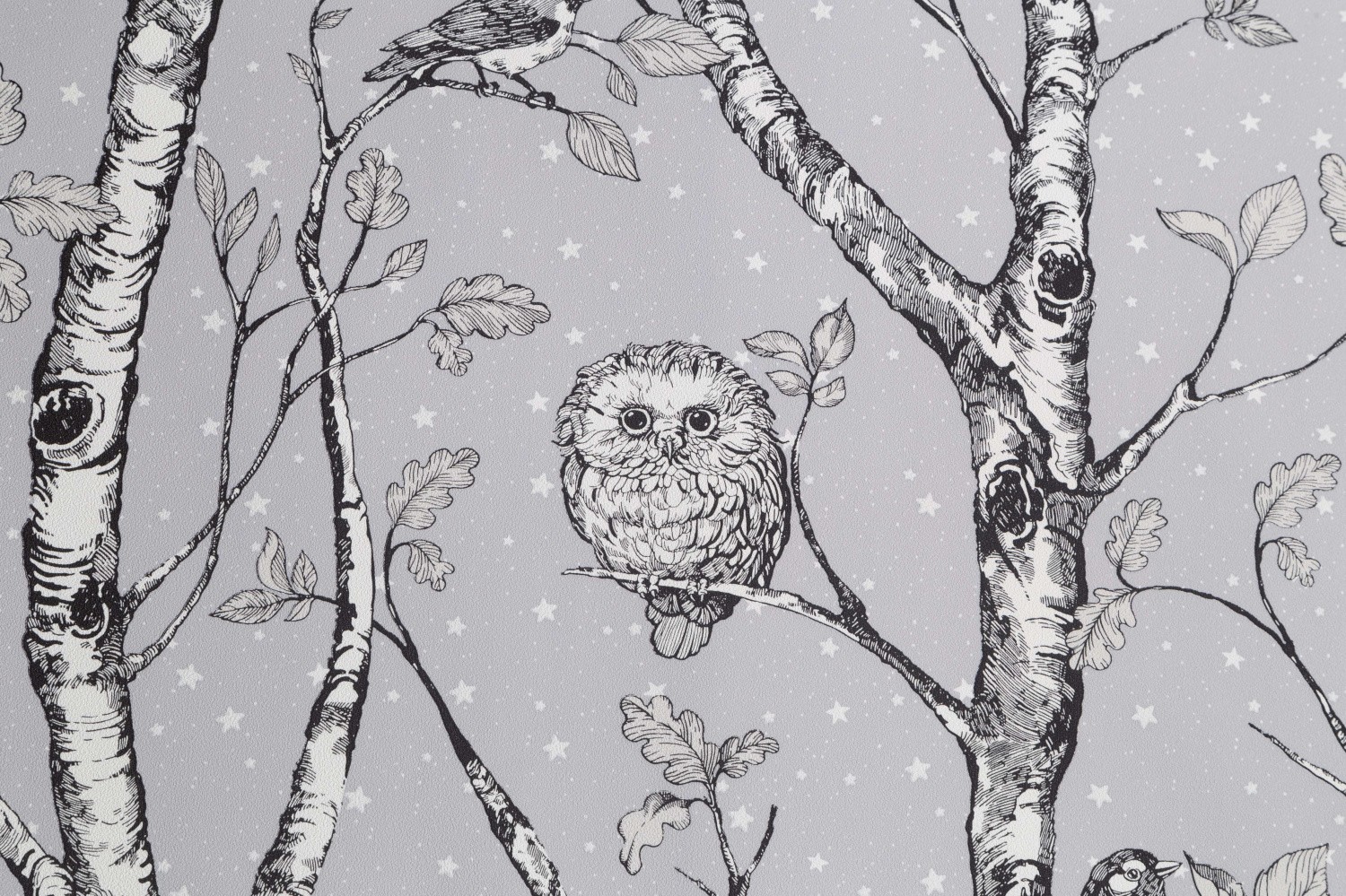 Обои HC71534-14 ГТ ФО Home Color (8) Ф