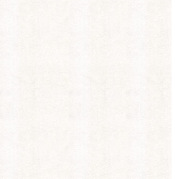 Обои Белвинил Вьюга 11 СБ54 /1,06*10м/ ВВ-Ф (9)