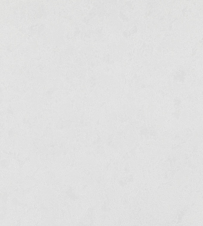 Обои декор г.т.арт.10363-01 10м*1,06м