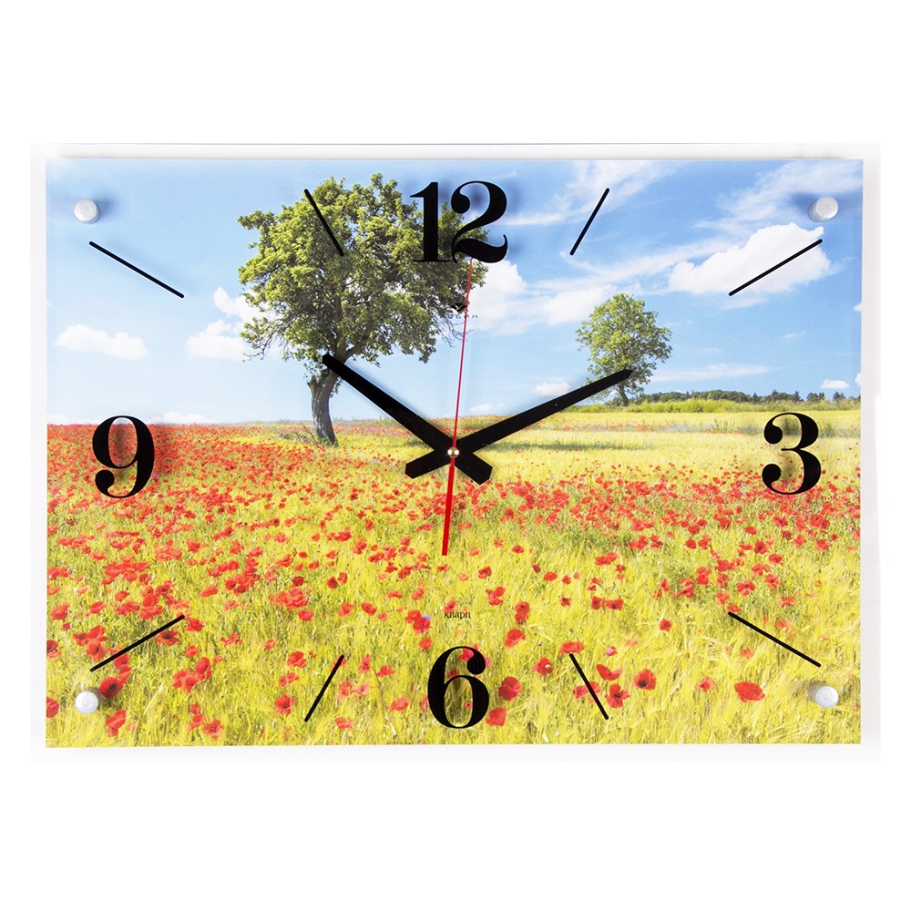 Часы настенные 4056-002