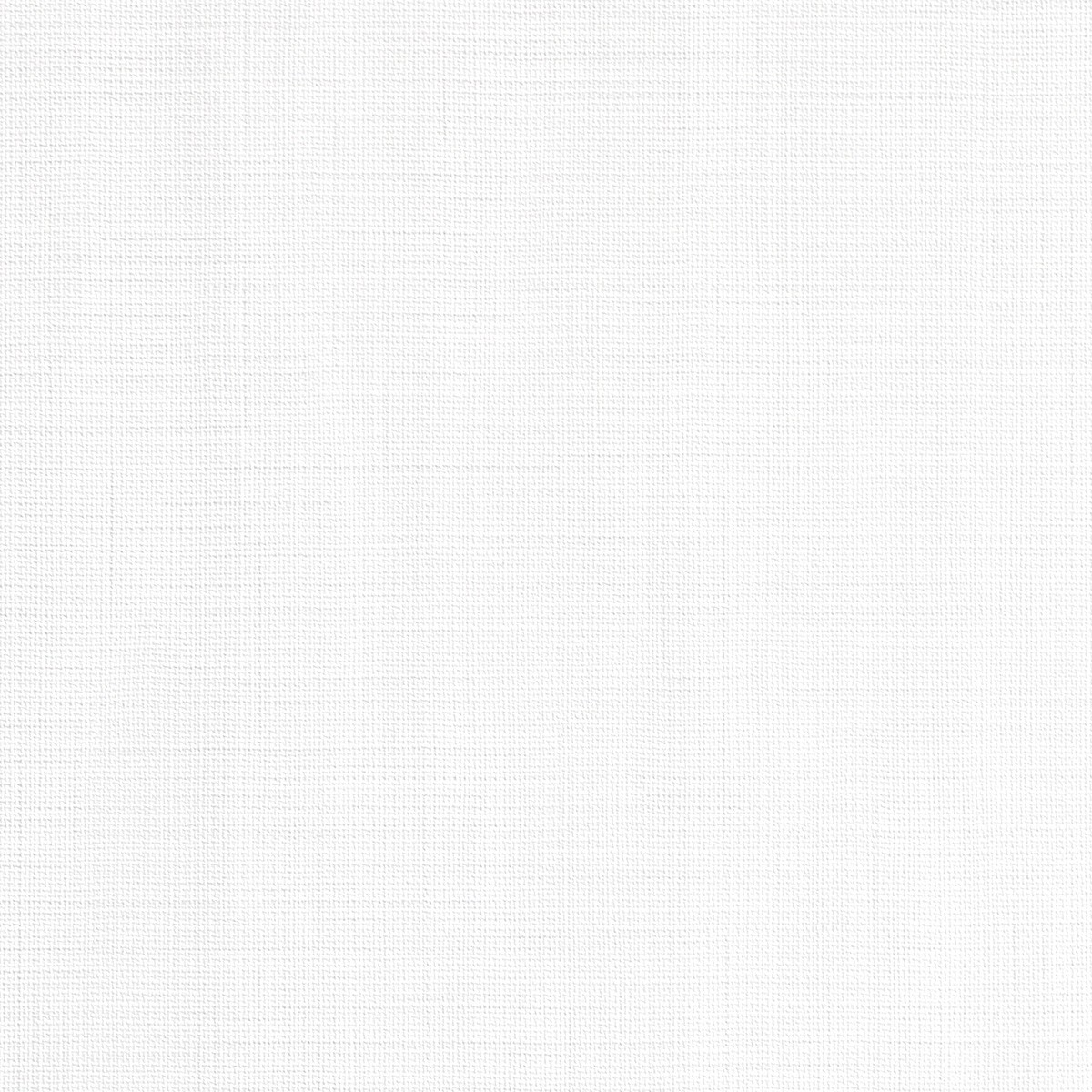 Обои Эрисман-R 60355-01 Opus/1,06*10м/ (6)