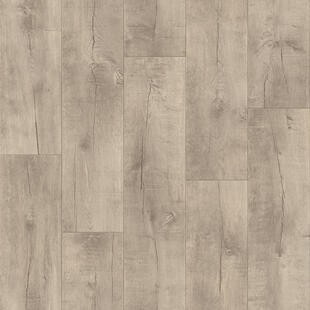 Линолеум Гладиатор Саратога1 2,5м