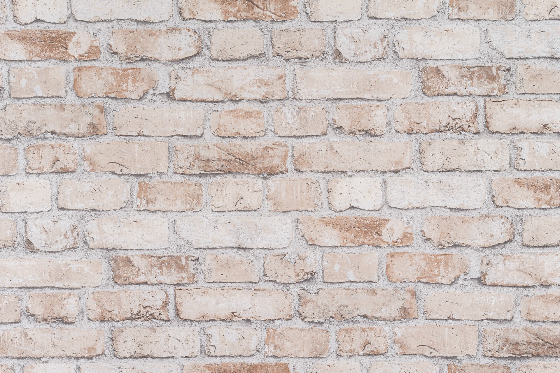 Обои декор г.т.арт.10830-02 10м*1,06м (9)