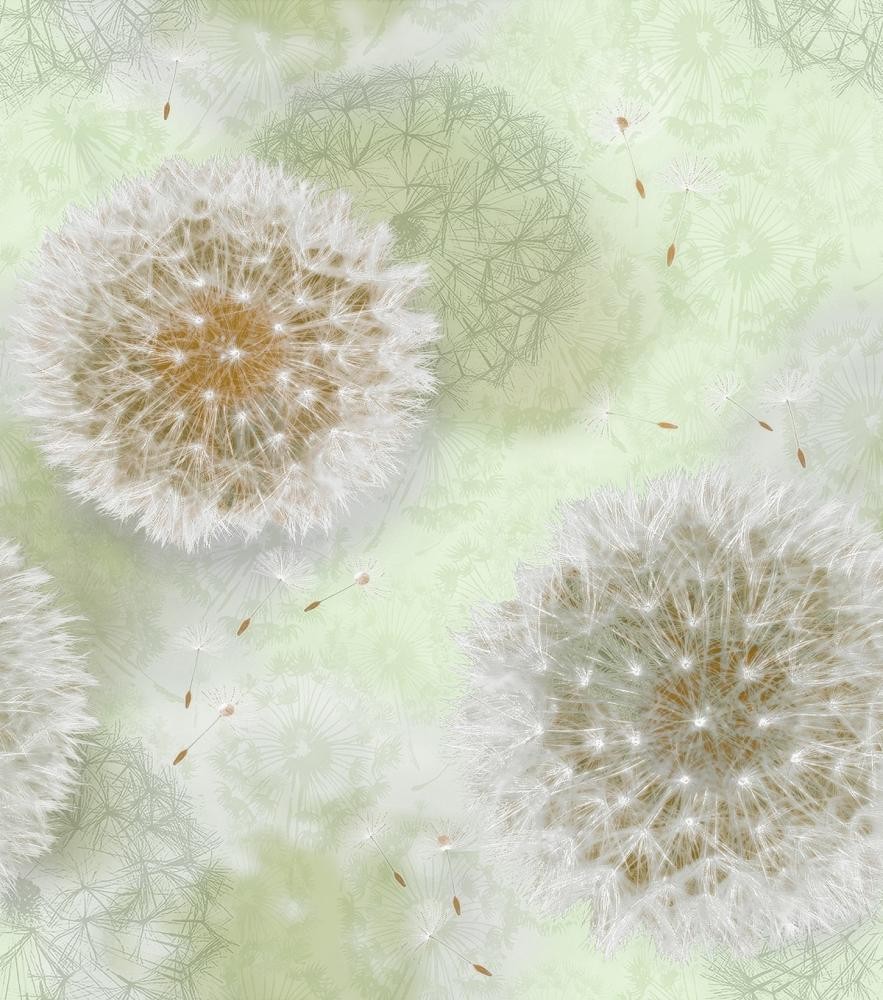 Обои Ф828-04 Одуванчик /0,53*10/С14/Бумага/Саратов (15)