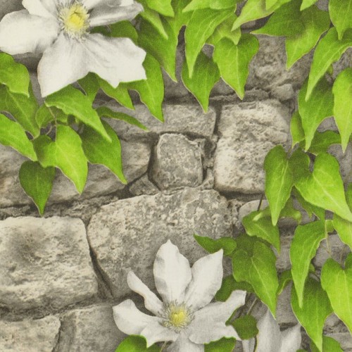 Обои Брянск мойка Клематис 3 (24)