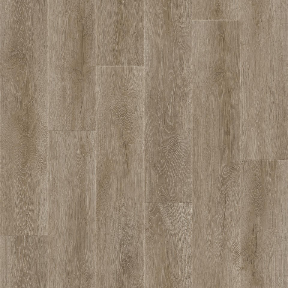 Линолеум Гладиатор Формоса3 3,0м