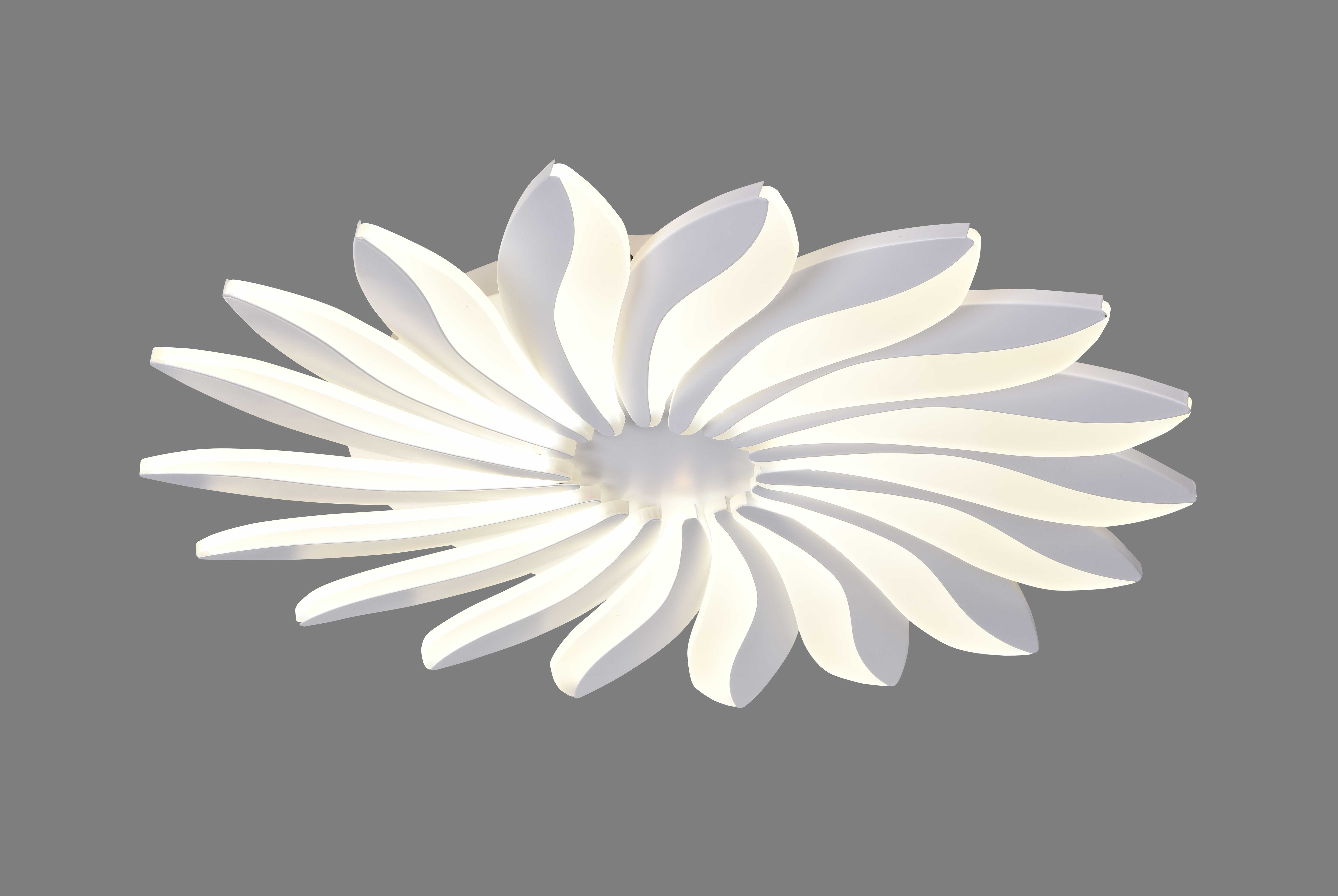 Люстра  3598/18 WT (1) MN RL