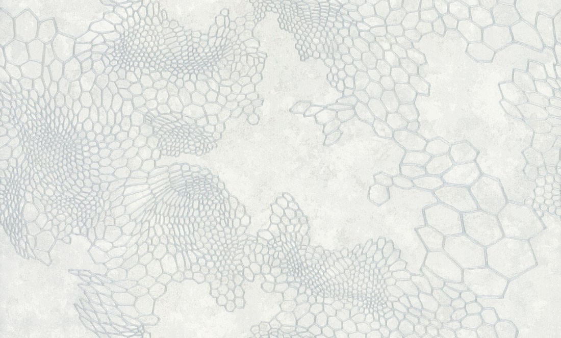 Обои Аспект 70586-14 Анаконда (6) 