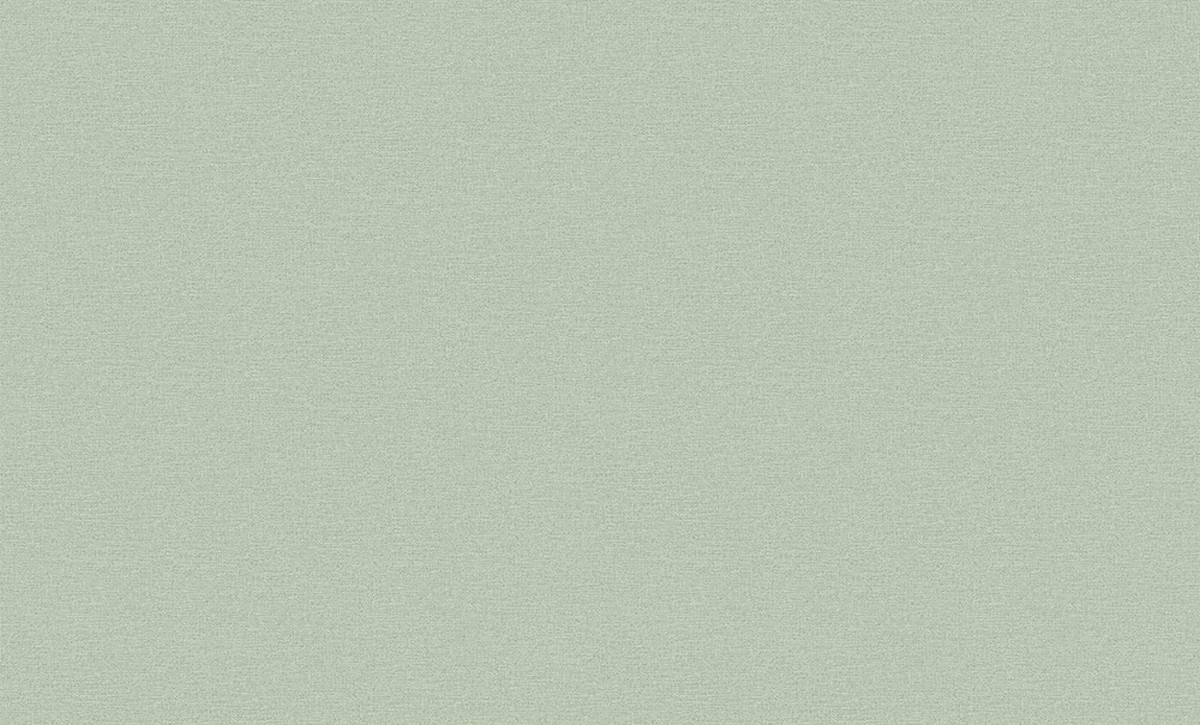 Обои Эрисман 60620-08 /10,05*1,06м/ (6)