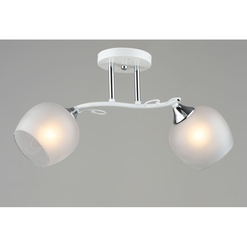 Люстра  2028/2 WT (4)