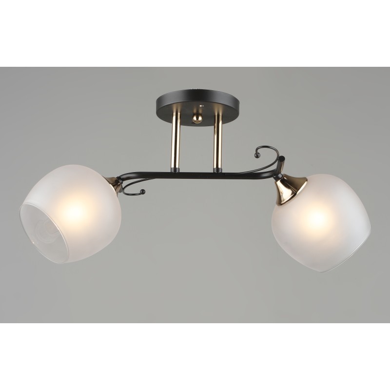 Люстра  2029/2 CF FGD (4) (1)