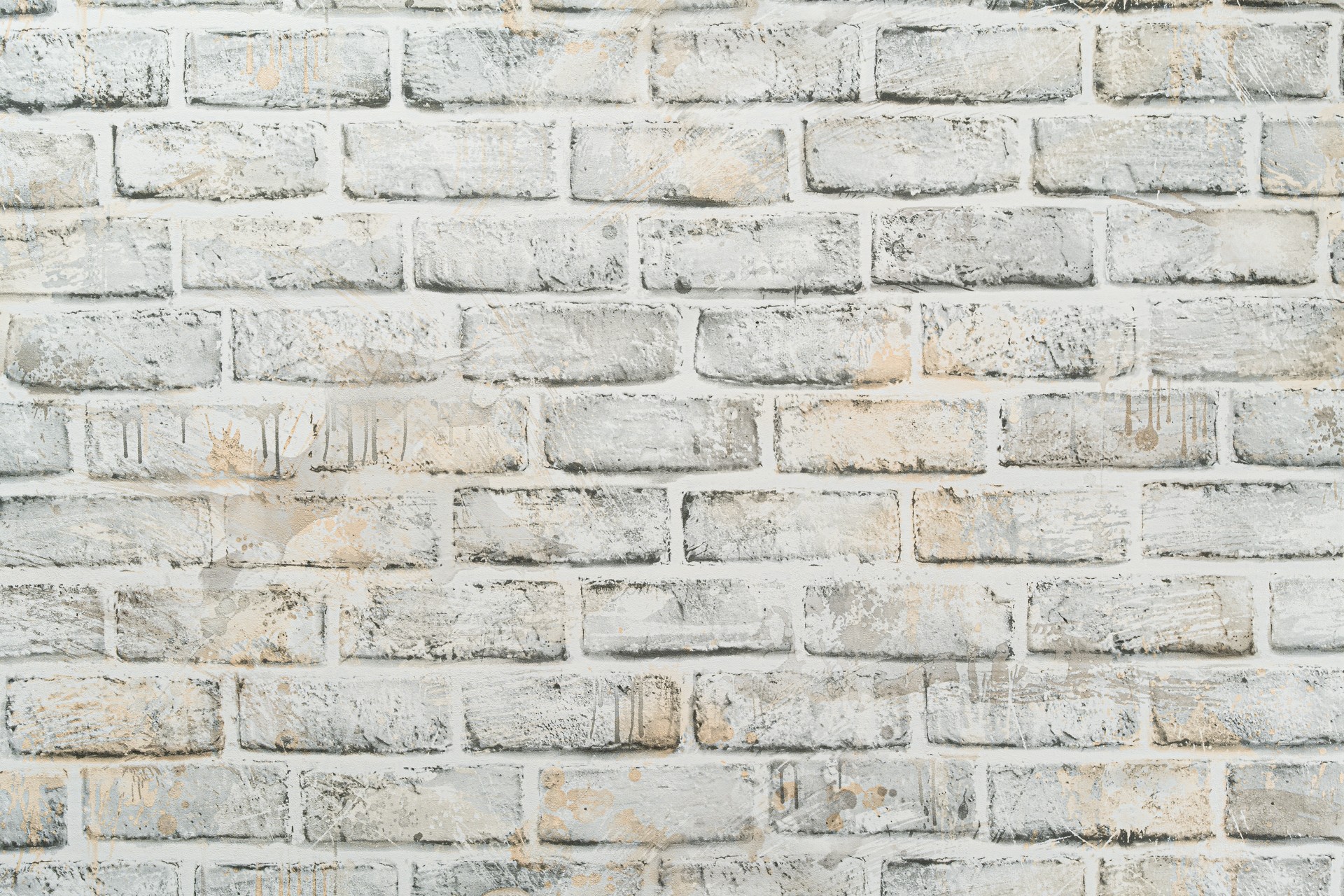 Обои декор г.т.арт.11055-02 (6)