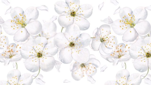 Панель Фартук 3,0*0,6м Яблоневый цвет