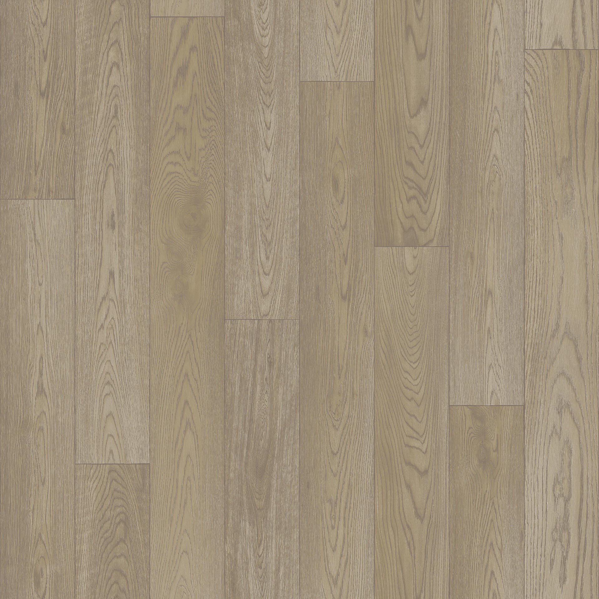 Линолеум Гладиатор CALVADOS 1 1,5м