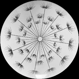 Светильник Одуванчик LED 24W 6400К 300мм 2-10-24