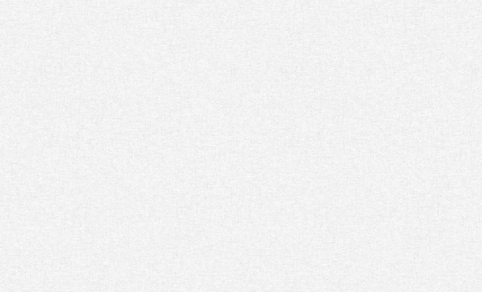 Обои Эрисман 60989-02 Basic Skandi (6)