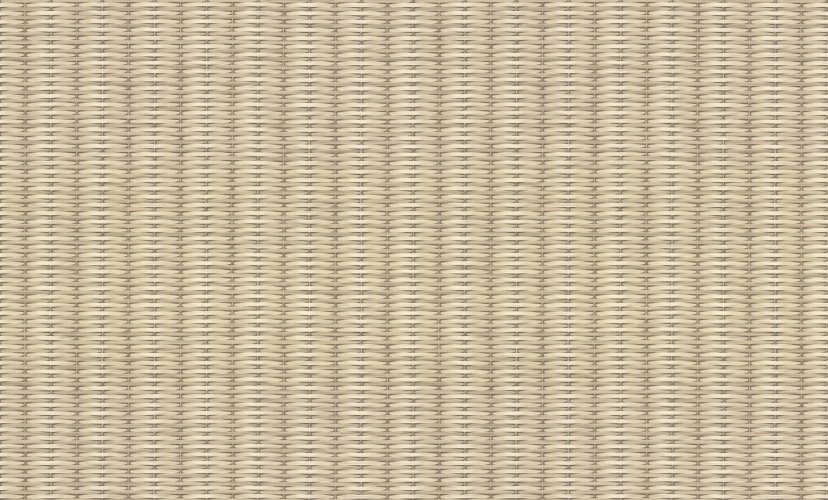 Обои TC72456-28 TREND Nature (6) 