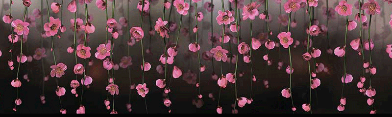 Панель Фартук 3,0*0,6м Висящие сады